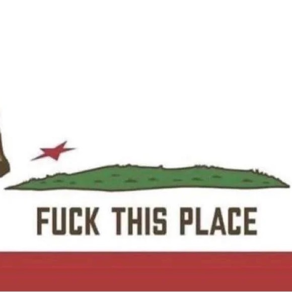 Meet your Posher, Damon - Picture 3 of 15